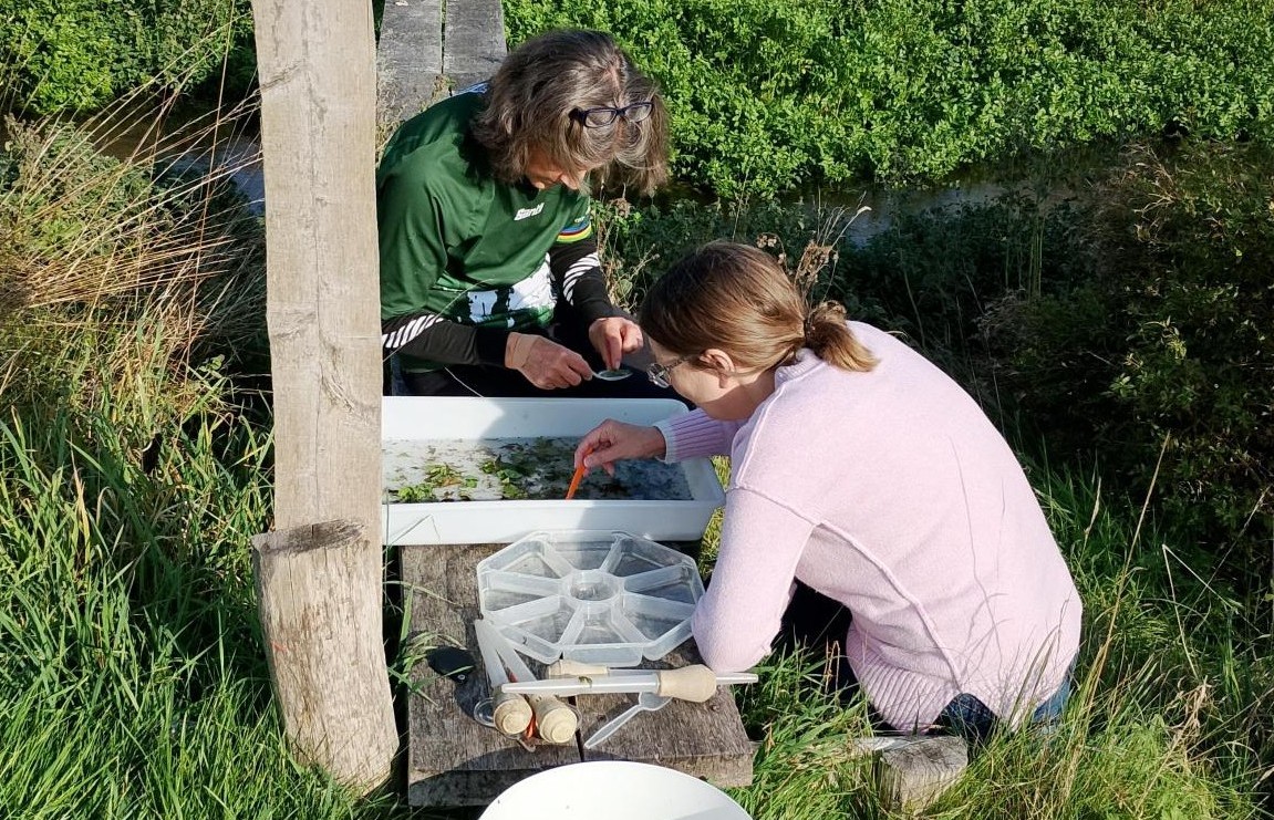 Citizen Science and Chalk Stream Conservation – Speak up for our Planet
